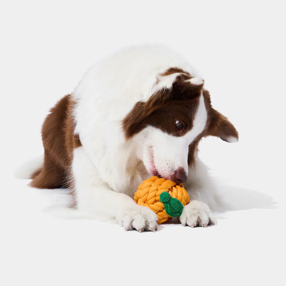 Vetreska - Tangerine Knot Rope Toy - OCC LIFE