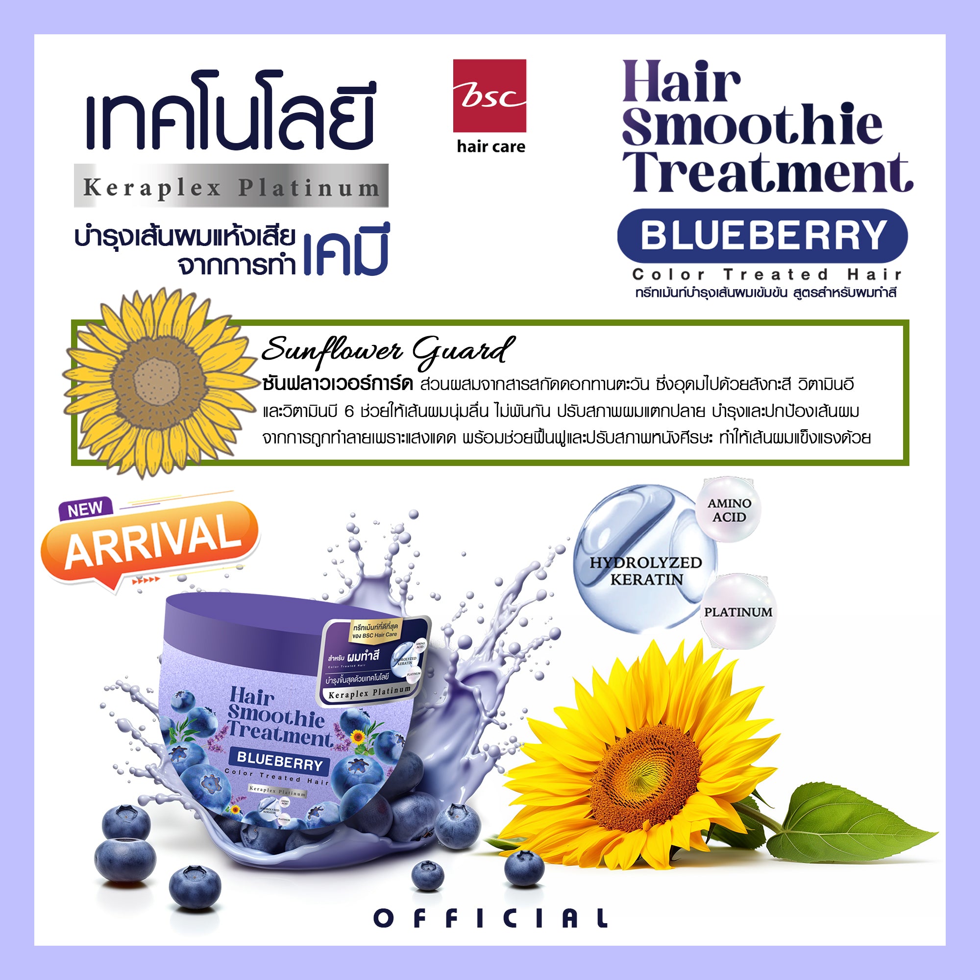 BSC - Hair Smoothie Treatment –Blueberry 400 g. - OCC LIFE