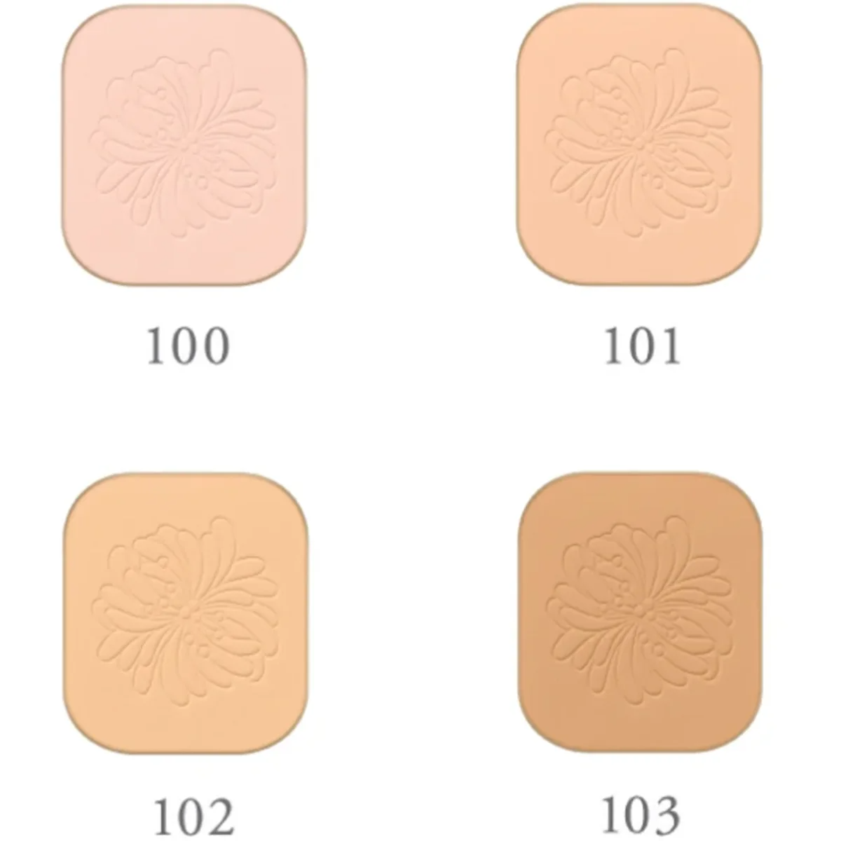 Paul & Joe - Powder Foundation N (Refill) – 9g – OCC LIFE