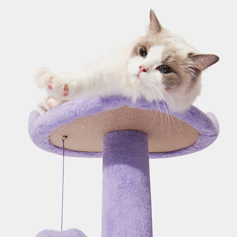Vetreska - Heartpurrple Cat Climber (3 Platforms) - OCC LIFE