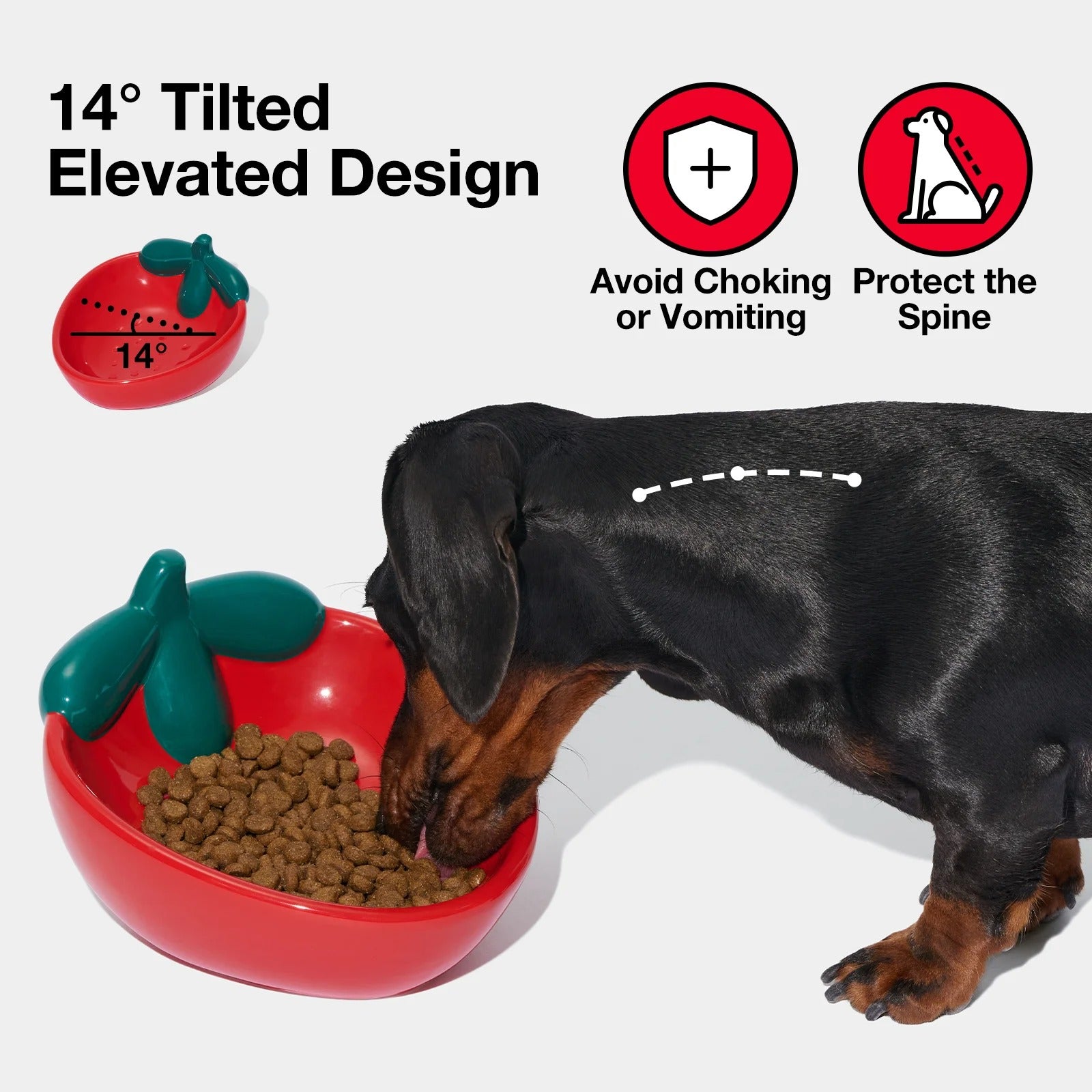 VETRESKA - Strawberry Ceramic Pet Bowl - OCC LIFE