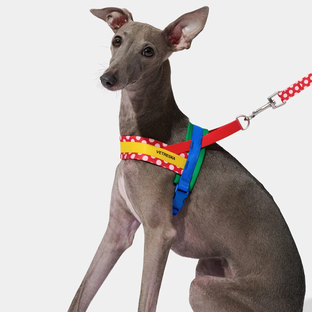 Vetreska - Chroma Pet Harness & Leash Set - Red - OCC LIFE