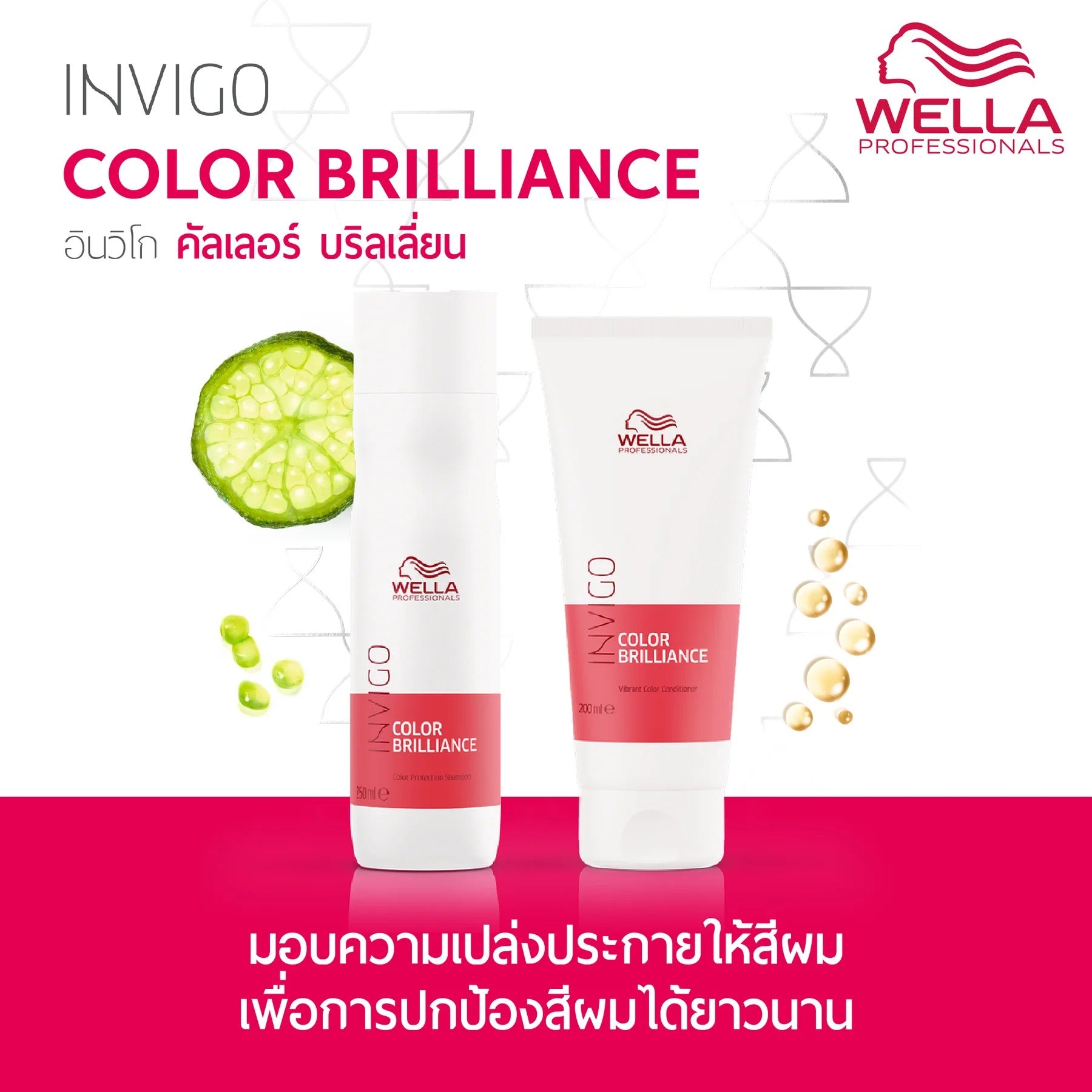WELLA - Invigo Color Brilliance Shampoo for Fine/Normal - OCC LIFE